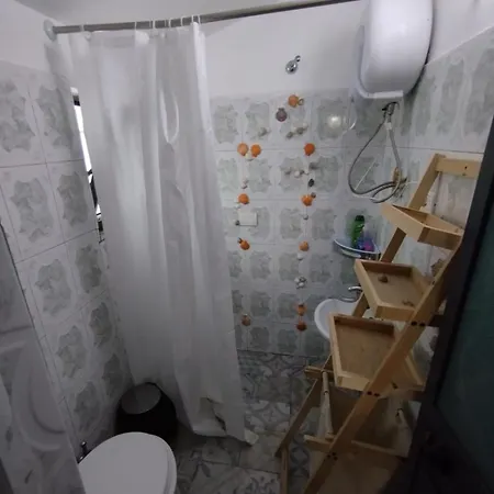 招待所 Illyrian 地拉那